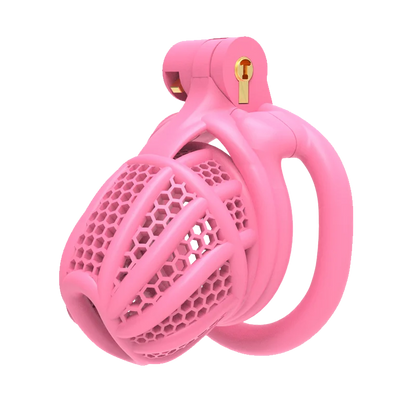 3D Printed Bee-hive Male Chastity Cage