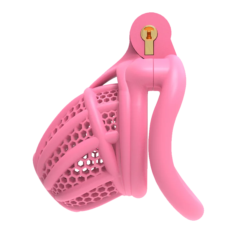 3D Printed Bee-hive Male Chastity Cage
