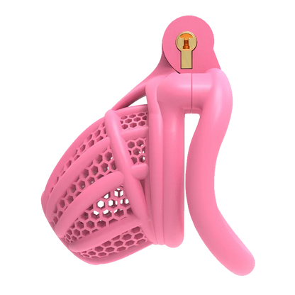 3D Printed Bee-hive Male Chastity Cage