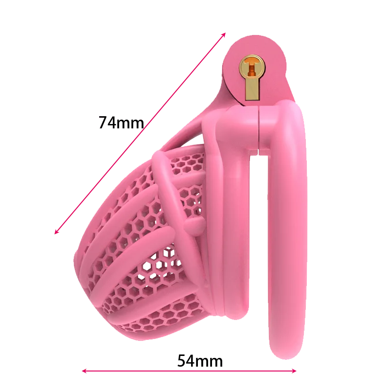 3D Printed Bee-hive Male Chastity Cage