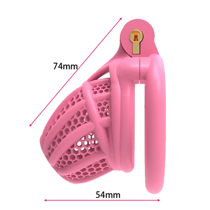 3D Printed Bee-hive Male Chastity Cage