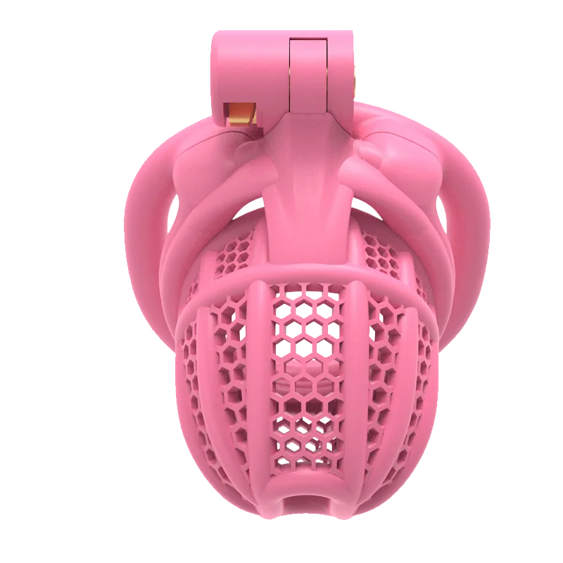 3D Printed Bee-hive Male Chastity Cage