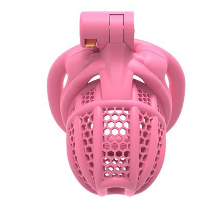 3D Printed Bee-hive Male Chastity Cage