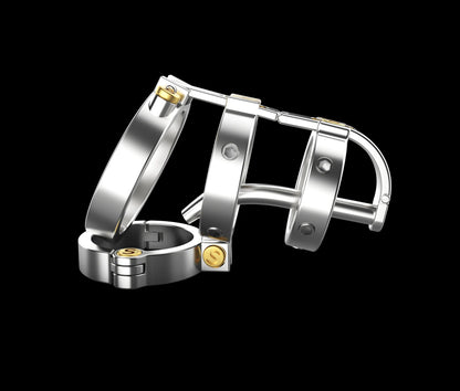Sadism Double Lock Male Chastity Device