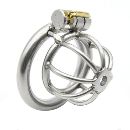 Cock Cage with catheter Penis Lock