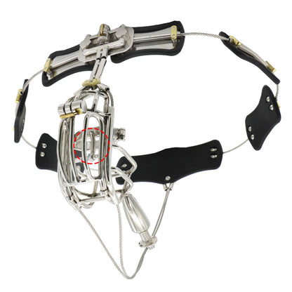 Clip Cage Male Chastity Belt