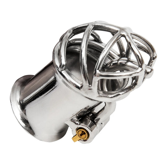 Happygo, Stainless Steel PA Puncture Chastity Device,Cock Cage,Penis Lock,Cock Ring,Chastity Belt,Adult Game,S060