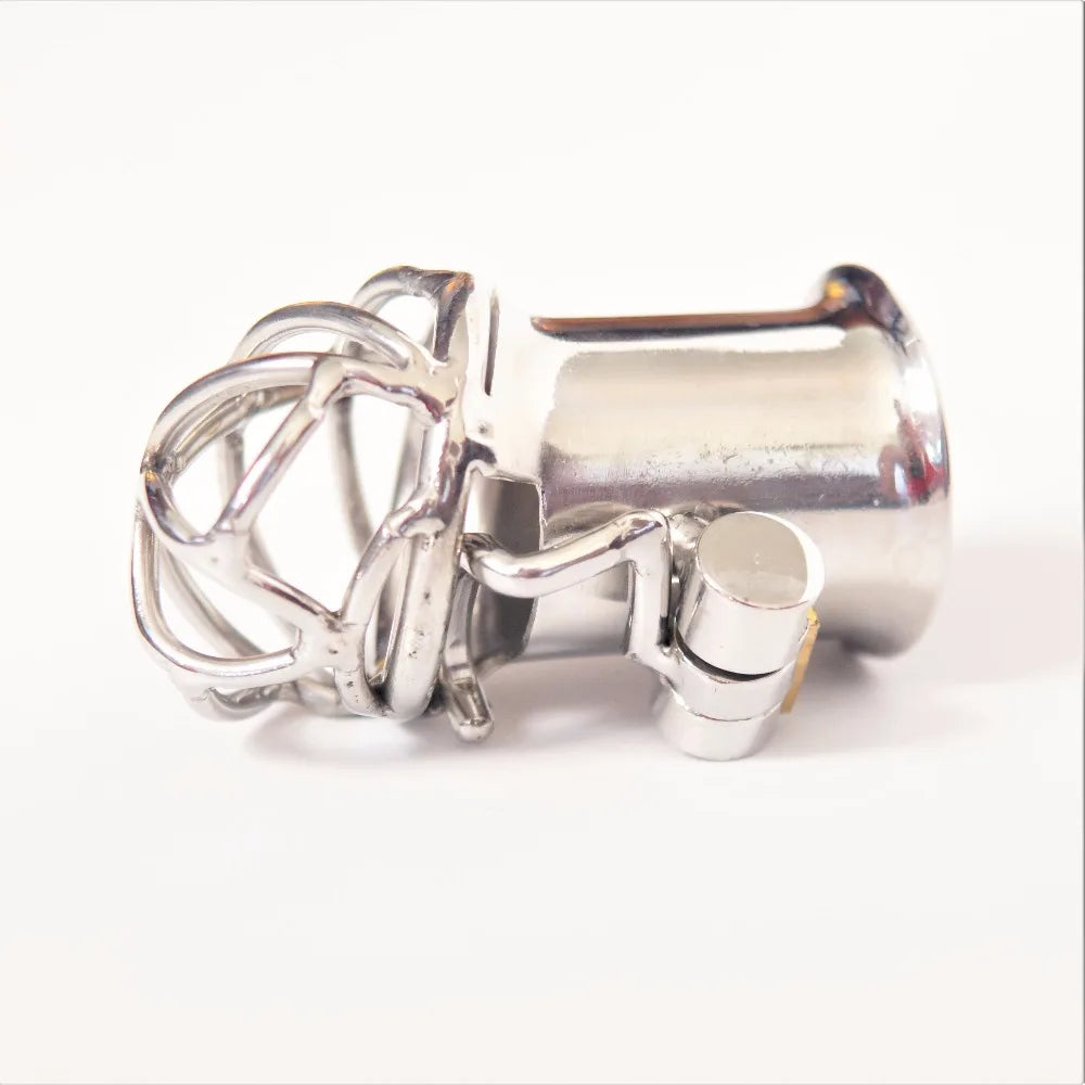 PA Hook Puncture Chastity Cock Cage