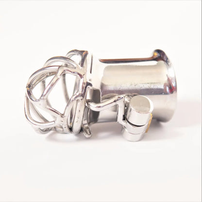 PA Hook Puncture Chastity Cock Cage